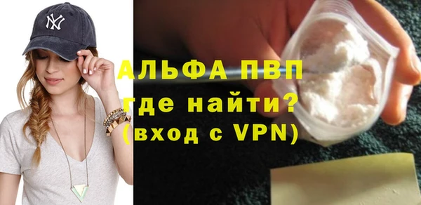 сатива Лабытнанги