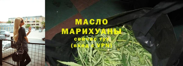 сатива Лабытнанги