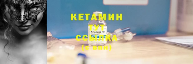 сатива Лабытнанги