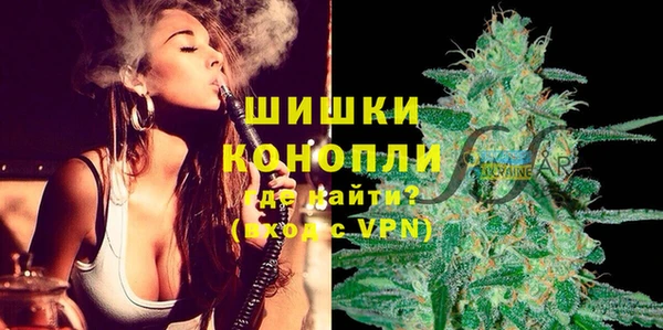 сатива Лабытнанги