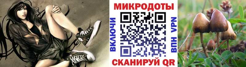 Псилоцибиновые грибы Cubensis  где найти наркотики  Новая Усмань 